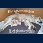 Unsere 3 Allerheiligen