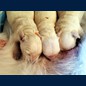 Mit 4 Tagen Geburtsgewicht schon fast verdoppelt