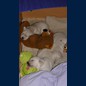 Gruppenkuscheln
