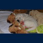 und wieder müde