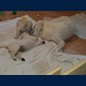 Toben mit Mama