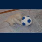 Männerfussball