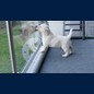 Verliebt in sich selbst
