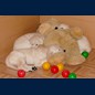 Gruppenkuscheln auf dem Bär