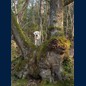 Abenteuer erleben
