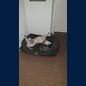 Und im Traum verarbeiten