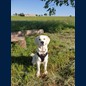 Oscar mit 9 Monaten...