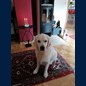 Frodo gratuliert zum 2. Geburtstag