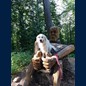 Frodo im Sommerurlaub
