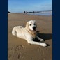 Und den Strand- Frodo