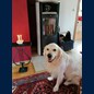 Frodo wird 3 Jahre alt