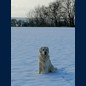Schnee ist toll