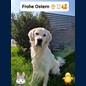 Und Oscar