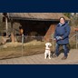 ...bei den Widdern