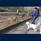Kenne ich- die sind auch bei uns hinterm Haus