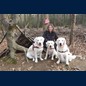 Gassirunde in die Waldschule Furpach