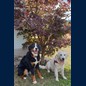 Kira und ich