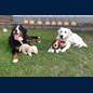 ...haben Plüschhunde ausgetauscht