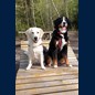 Ich und Kira