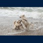 ...aber das Beste ist das Meer