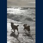 Nordsee- Romantik