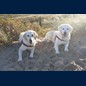 Sylt 2021