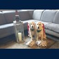 Es gibt Geschenke