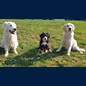 Unsere neue Freundin Nelly