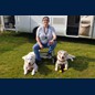 Camping in Belgien