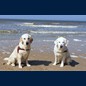 ...ans Meer