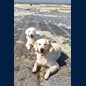 Kurze Verschnaufpause