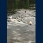 Ans Wasser natürlich