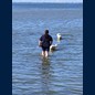 Nordseewattenmeer