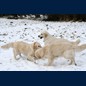 Mein 1.Schnee 