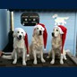 X-mas '08