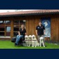 Trainingsurlaub im Hundesporthotel Oberammergau 06.2014