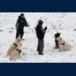 Freund Jens mit Negro: Alle Hunde Sitz!